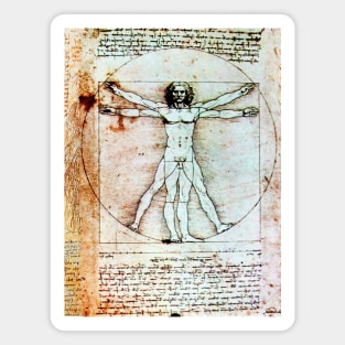 VITRUVIAN MAN Handwriting of Leonardo Da Vinci Antique Parchment Magnet